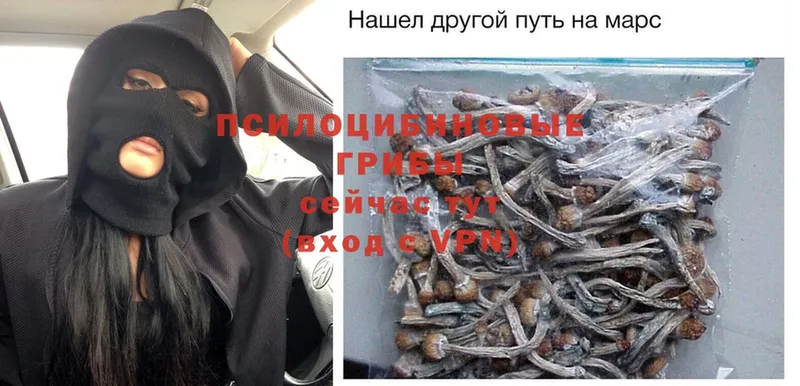 Галлюциногенные грибы Psilocybe  маркетплейс клад  Ленск 